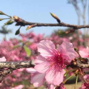 Meet your Posher, Itziar